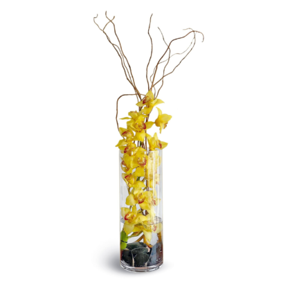 When it comes to floral beauty, nothing compares to the mesmerizing allure of the yellow orchid. With its delicate petals and vibrant color, it's no wonder that these flowers have become a popular choice for home decor enthusiasts.