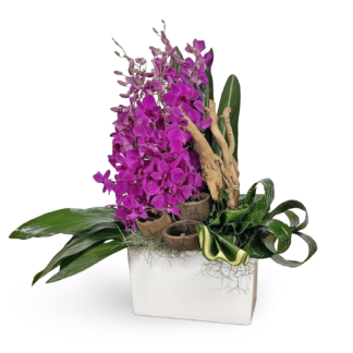 botanical-beauty--boca-raton-florist