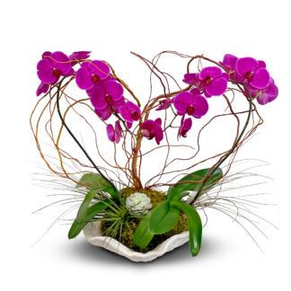 love-orchids--boca-raton-florist