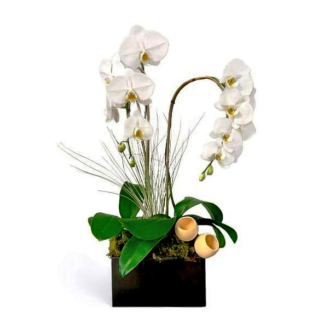 natali-orchids-f-boca-raton-florist