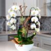 Harmony Flower Arrangement - Image 2
