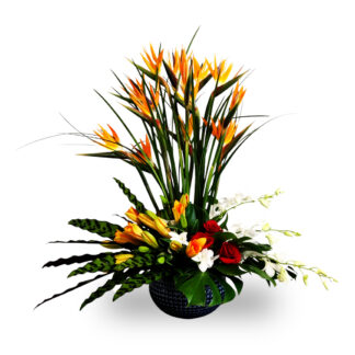 Discover the stunning beauty of Ember Glow Birds of Paradise arrangements. These eye-catching floral displays radiate warmth and vibrancy, perfect for any space.