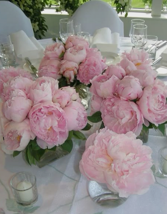 Peonies in Flower Arrangements: Meaning and Occasions